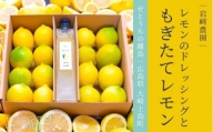 [1〜3月発送] 大崎上島産 レモンのドレッシング＆生果レモン約1kgのギフトセット