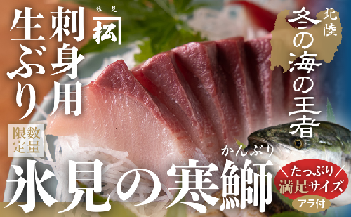 【魚問屋直送】天然「生ひみ寒ぶり」刺身用 約400g 540903 - 富山県氷見市