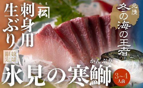 【先行予約】【魚問屋直送】天然「生ひみ寒ぶり」刺身用 約400g＜アラ付き＞  540906 - 富山県氷見市