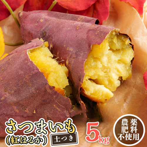 さつまいも ( 紅はるか ） 5kg 【 農薬・肥料不使用 】 土つき  オーガニック 無農薬 高糖度 肥料不使用 自然栽培 スイーツ 焼き芋 天ぷら スイートポテト 秋 べにはるか 食物繊維 [CW03-NT] 541036 - 茨城県つくばみらい市