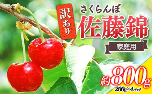 【令和7年産先行予約】 〈訳あり品 家庭用〉 さくらんぼ ｢佐藤錦｣ 約800g (200g×4パック Mサイズ) 《令和7年6月中旬～発送》 『田口農園』 サクランボ 生産農家直送 小分け 果物 フルーツ 山形県 南陽市 [1691]