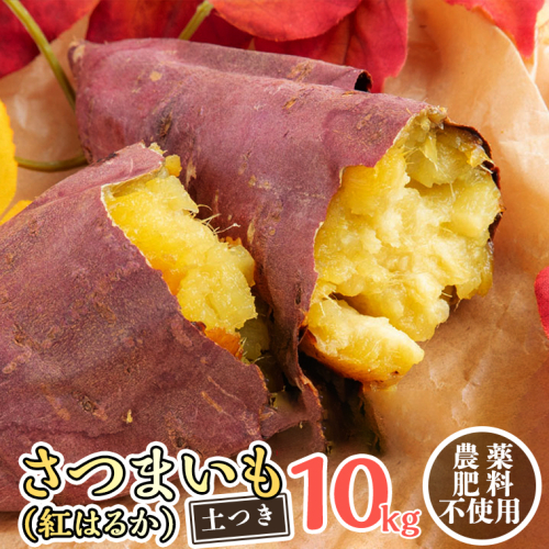 さつまいも ( 紅はるか ） 10kg 【 農薬・肥料不使用 】 土つき オーガニック 無農薬 高糖度 肥料不使用 自然栽培 スイーツ 焼き芋 天ぷら スイートポテト 秋 べにはるか 食物繊維 [CW04-NT] 541052 - 茨城県つくばみらい市