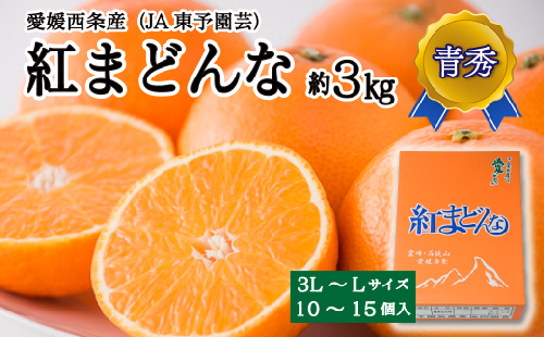 【先行予約】 紅まどんな （JA東予園芸） 青秀 10～15個入 3L～Lサイズ  約3kg　※2024年11月下旬～12月下旬頃発送　紅まどんな 柑橘 愛媛県オリジナル品種