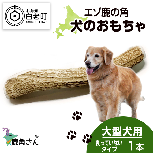 鹿の角 エゾシカ 犬のおもちゃ 『鹿角さん』 大型犬用　割っていないタイプ　１本 541092 - 北海道白老町