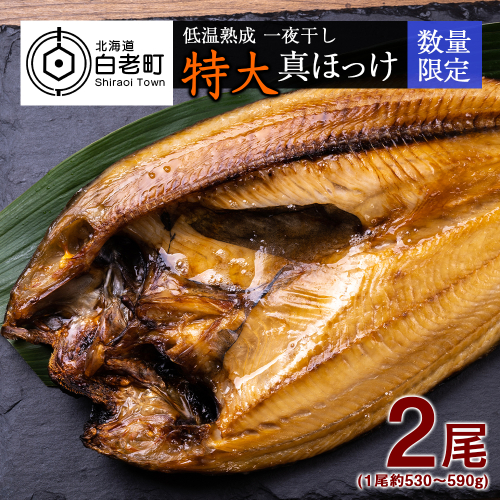 低温熟成 一夜干し 特大 真ほっけ ２尾 ＜北海道産＞ 541390 - 北海道白老町