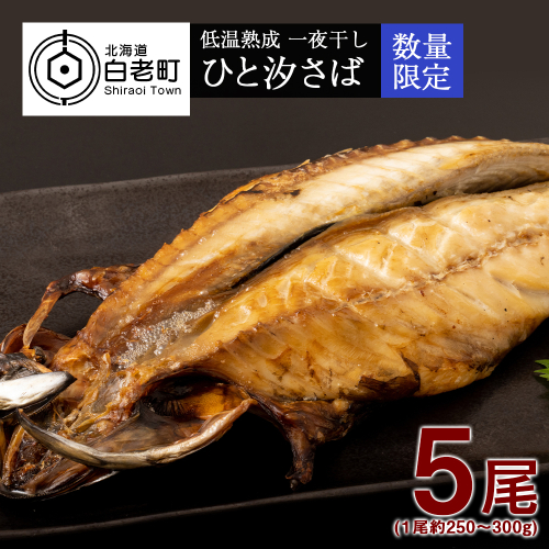 低温熟成 一夜干し ひと汐さば 5尾 ＜虎杖浜加工＞ 541391 - 北海道白老町