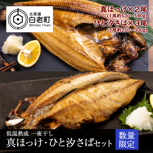低温熟成 一夜干し 真ほっけ・ひと汐さば セット 541392 - 北海道白老町