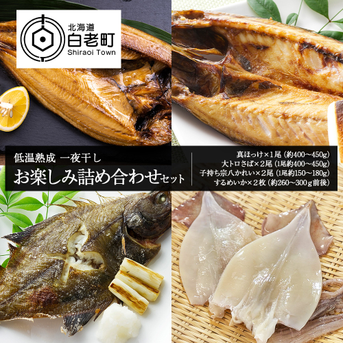 低温熟成 一夜干し お楽しみ 詰め合わせ 541393 - 北海道白老町