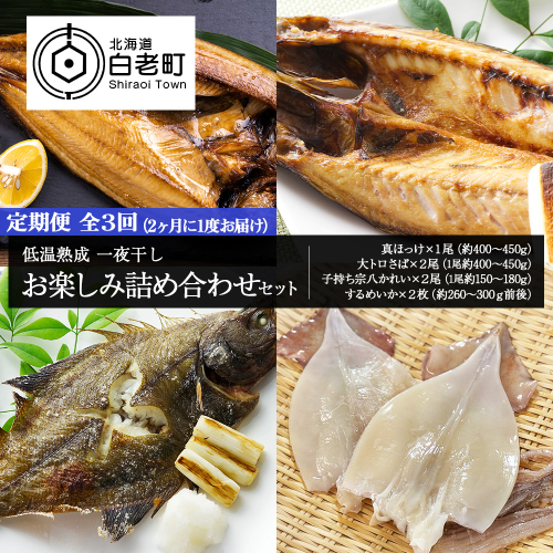 2ヶ月に1度 定期便 全3回 低温熟成 一夜干し お楽しみ 詰め合わせ 541394 - 北海道白老町