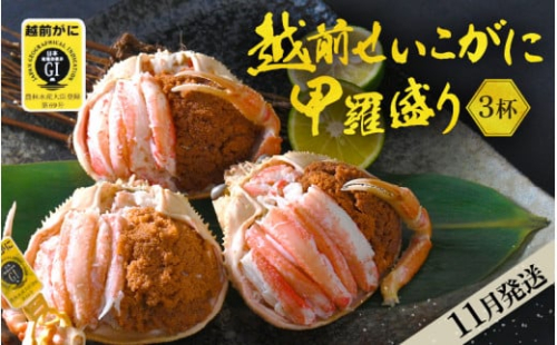 E49 X004 11 産地直送 越前せいこ蟹 甲羅盛り 身出し セット 3杯 鮮度にこだわり 冷蔵 発送 旨味満足 雌 ズワイガニ 越前がに せいこがに セイコガニ セコガニ ボイル むき身 かに カニ 蟹 福井県 11月発送分 希望日指定可 備考欄に電話番号をご記入