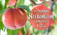 No.2328【先行予約】もも　8月収穫の桃　約1.2kg【2024年発送】