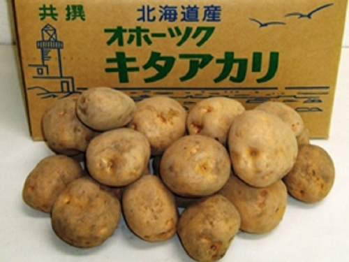 小清水町産キタアカリ　10kg【01003b】 54192 - 北海道小清水町