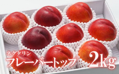 No.2315【先行予約】株式会社ABE Fruit　ネクタリン「フレーバートップ」 2kg【2023年発送】