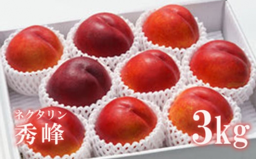 No.2319【先行予約】株式会社ABE Fruit　ネクタリン「秀峰」 3kg【2023年発送】