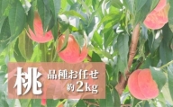 No.2368まるせい果樹園　桃品種お任せ約2kg【2024年発送】