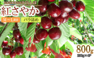 [令和7年産先行予約] 鶴岡市産 さくらんぼ 紅さやか M〜Lサイズフードパック詰800g (200g×4) [五十嵐 茂也]