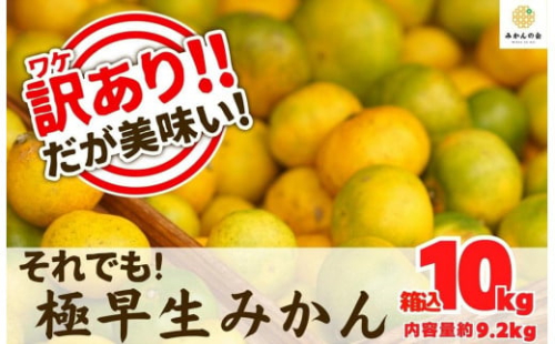 訳あり 極早生 箱込 10kg (内容量約 9.2kg) サイズミックス 有田みかん 和歌山県産 【みかんの会】 542559 - 和歌山県有田川町