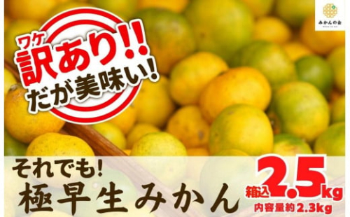 訳あり 極早生 箱込 2.5kg (内容量約 2.3kg) サイズミックス 有田みかん 和歌山県産 【みかんの会】 542562 - 和歌山県有田川町