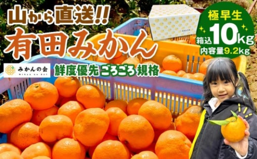 みかん 極早生 山から直送 箱込 10kg (内容量約 9.2kg) 採れたてそのままごろごろ規格 有田みかん 和歌山県産 【みかんの会】みかん 果物 みかん フルーツ みかん 和歌山 みかん 柑橘類 みかん 和歌山県産 みかん 有田 みかん 542563 - 和歌山県有田川町