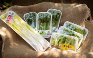 [1月末から4月下旬まで順次発送]山菜Bセット(タラの芽・こごみ・うるい・葉わさび)4種8パック