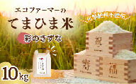 【10kg】 米 令和8年度産『てまひま米』彩のきずな 先行予約 精米 | 米 彩のきずな コメ お米 おこめ 特産米 ブランド米 令和8年 2026年てまひま 手間暇 手間隙 手間ひま 精米 白米 おいしい 美味しい ごはん SDGs 循環型 循環型農業 持続可能な農業 環境に優しい 環境問題 高品質 地元産 主食 和食 安心 ギフト 贈り物 埼玉県 久喜市