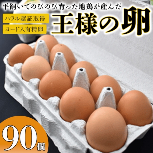 王様の卵 ヨード入 90個 平飼い 地鶏 有精卵 濃厚 卵 こだわり卵 たまご 542976 - 茨城県牛久市