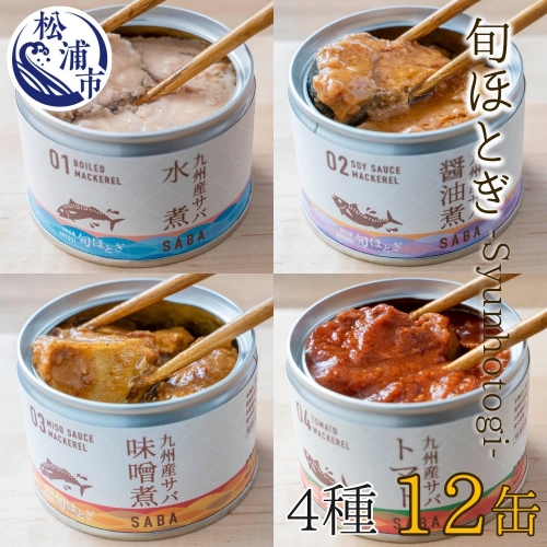 【B0-116】缶詰工場直送　伝統のさば缶「旬ほとぎ」4種類の味わい12缶
