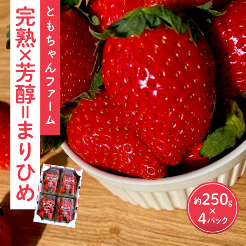 「完熟×芳醇=まりひめ」4パック（約250g×4）≪先行予約≫2027年1月上旬より順次発送予定【配送不可地域：北海道・沖縄・離島】 543449 - 和歌山県御坊市
