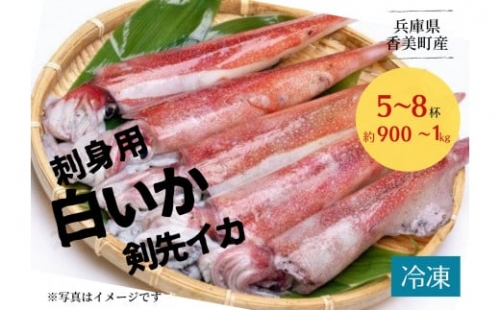 白いか 剣先いか 刺身用 5 8杯 約900g 1kg 兵庫県 香住産 産地直送 冷凍 発送目安 令和5年6月上旬以降の発送となります 鮮度抜群の白いかを急速冷凍し 食品の美味しさや栄養をキープしました 噛めば噛むほど濃厚な甘みを感じる美味しい イカです 皮も剥きやすい