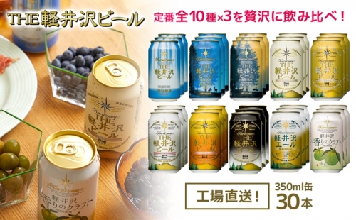 THE軽井沢ビール　10種30缶　飲み比べ　ギフトセット 543661 - 長野県佐久市
