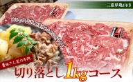 【豊田さん家の牛肉】切り落とし 1kgコース F23N-214