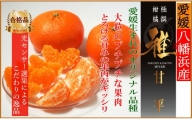 C39-46. 極撰柑橘“雅”光センサー合格品・愛媛の三大高級柑橘の一つ「 甘平 」２キロ