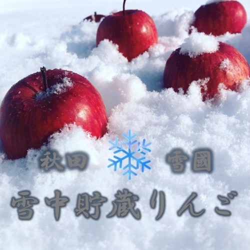 B9913　【雪中貯蔵】希少な高糖度雪中りんご ふじ 約3kg