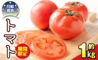 s471 《期間限定》月齢栽培で育てたトマト「月齢栽培トマト」(約1kg)【上市農園】