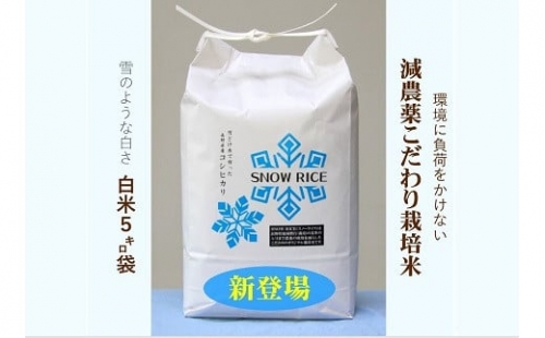 【数量限定！】令和4年産減農薬コシヒカリ「SNOW RICE」白米5kg 544483 - 長野県栄村