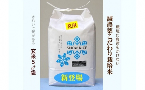 【数量限定！】令和4年産減農薬コシヒカリ「SNOW RICE」玄米5kg 544484 - 長野県栄村