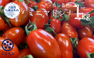 フルーツミニトマト【マドンナ】1kg(茨城県共通返礼品／つくばみらい市産)
