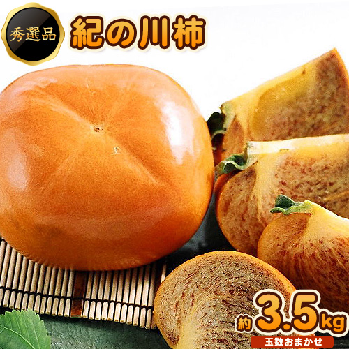希少 紀の川柿 約3.5kg（種無し）【2026年先行予約】 秀選品 厳選館 《2026年11月上旬-11月中旬頃出荷》 和歌山県 日高川町 柿 カキ かき ジューシー フルーツ 544582 - 和歌山県日高川町
