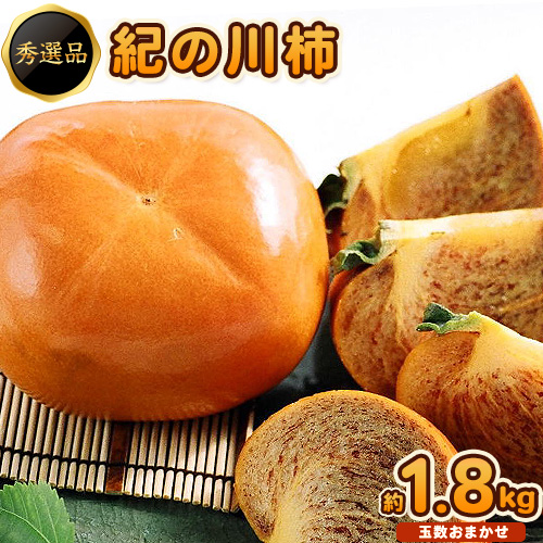 希少 紀の川柿 約1.8kg（種無し）【2026年先行予約】秀選品 厳選館 《10月上旬-11月上旬頃出荷》 和歌山県 日高川町 柿 カキ かき ジューシー フルーツ 544612 - 和歌山県日高川町
