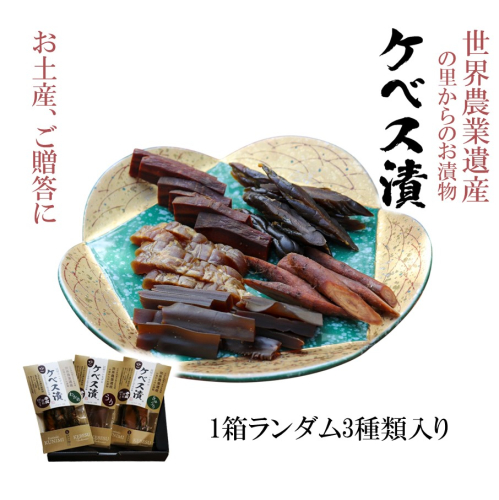 【10月から発送予定】西の関の酒粕で作ったこだわりの奈良漬け「季節のケベス漬け」1箱ランダム3種セット（計510g）_2106R 545077 - 大分県国東市