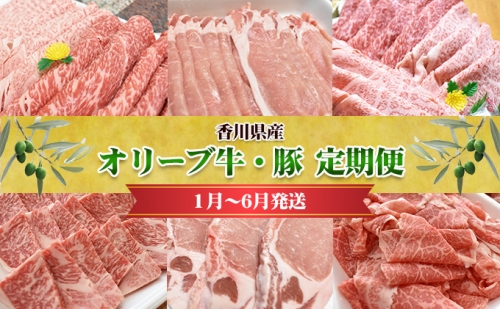 香川県産　オリーブ牛、豚　500ｇ　定期便（1月～6月） 545211 - 香川県東かがわ市