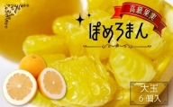 高級 果実 「大玉」ぽめろまん 6個入り【 数量限定 】 フルーツ 柑橘 柑橘類 果物
