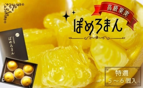 BZ1 高級果実 「特選」ぽめろまん(化粧箱)5~6個入り【数量限定】 545519 - 熊本県玉名市