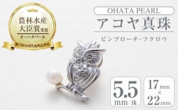 【ふるさと納税】アコヤ真珠 ピンブローチ 梟 (5.5mm珠) 【AF45】【(有)オーハタパール】