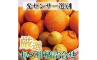厳選旬の柑橘詰合せ2kg+60g(傷み補償分)[1月より発送]