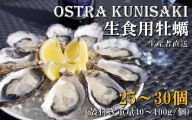 生食用殻付き牡蠣「Ostra Kunisaki」25～30個（殻付き重量40～100g/個）_2113R