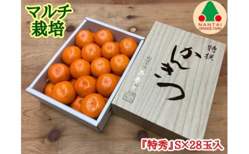 マルチ栽培 有田 みかん 化粧小箱 特秀 S サイズ 28玉入 南泰園 546407 - 和歌山県有田川町