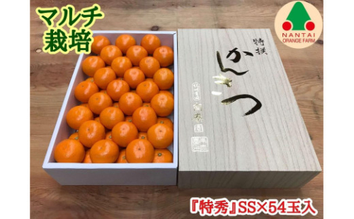 マルチ栽培 有田 みかん 化粧箱 特秀 小玉 SS サイズ 54玉入 南泰園 546408 - 和歌山県有田川町