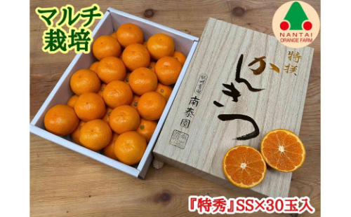 マルチ栽培 有田 みかん 化粧小箱 特秀 SS サイズ 30玉入 南泰園 546409 - 和歌山県有田川町