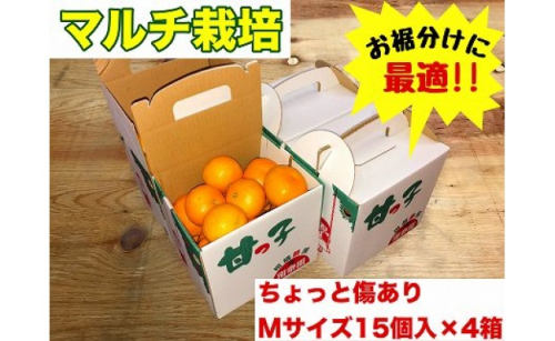 手さげ箱 ちょっと傷 マルチ栽培 有田 みかん M サイズ 15個入 × 4箱 南泰園 546410 - 和歌山県有田川町